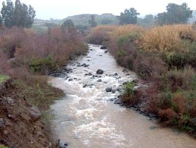 من إحدى ترع بحر الجرجبة