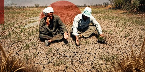 ترع على الخريطة وحقول بلا ري.. أين وكيف تتعطل رحلة المياه إلى الحقول؟